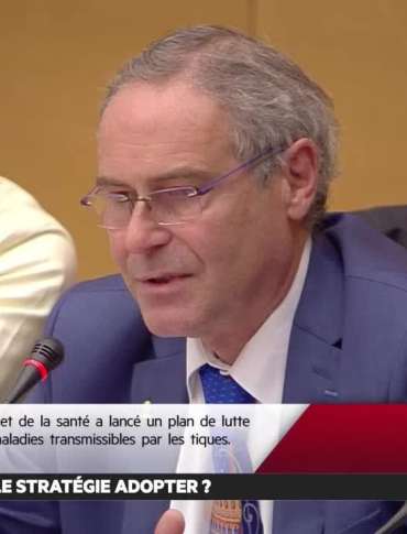 Vidéo: Maladie de lyme : quelle stratégie thérapeutique adopter ? – Les matins du Sénat (23/04/2019)
